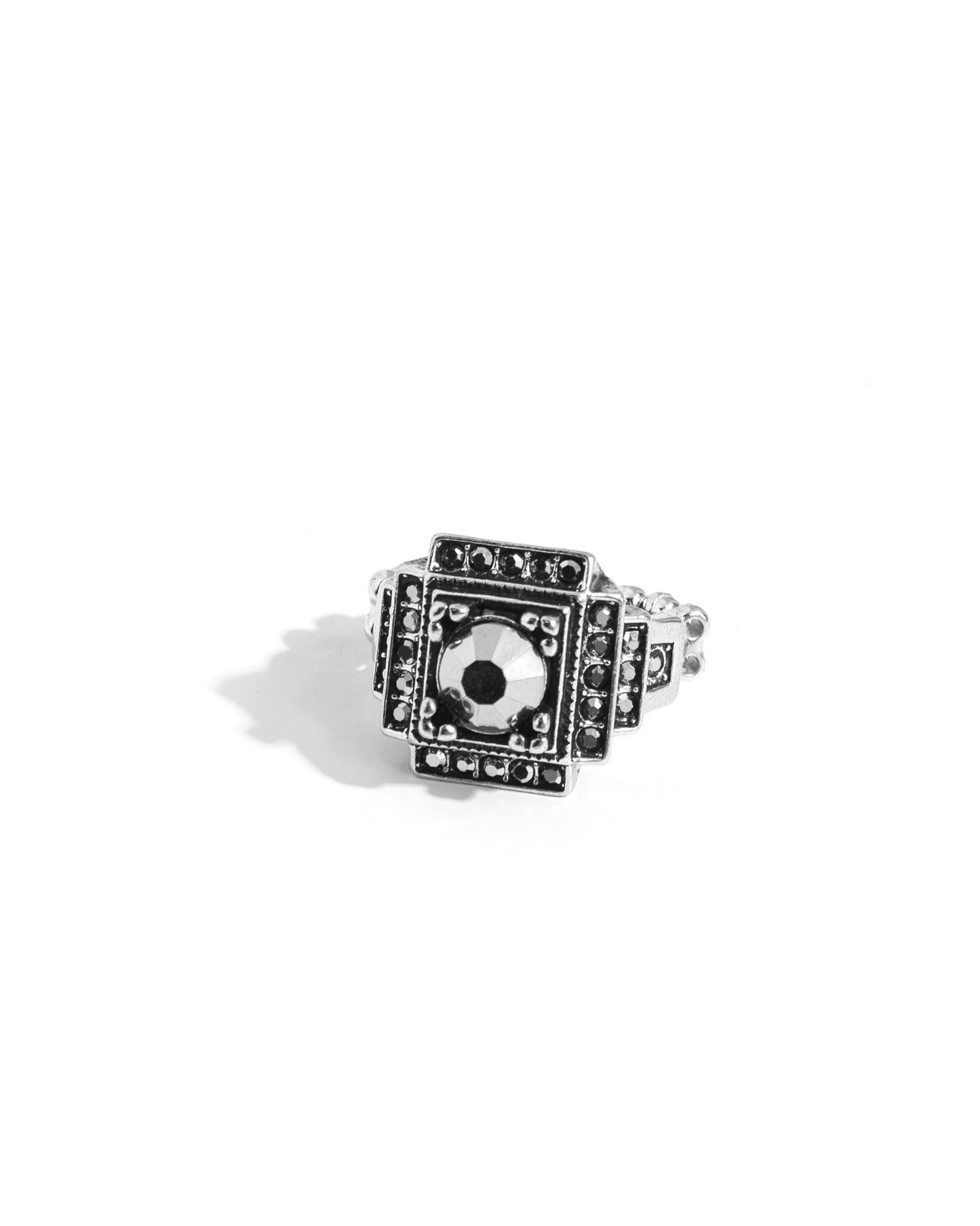 Polished Pantheon - Silver