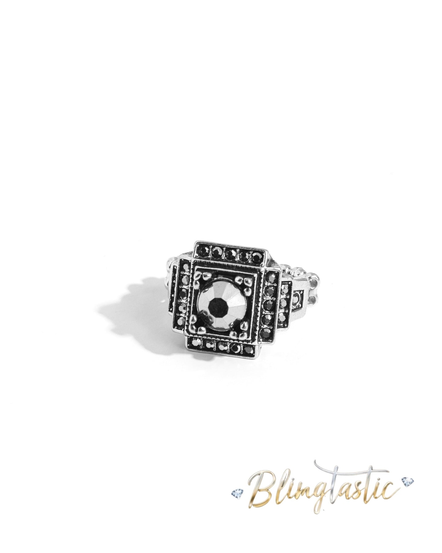 Polished Pantheon - Silver